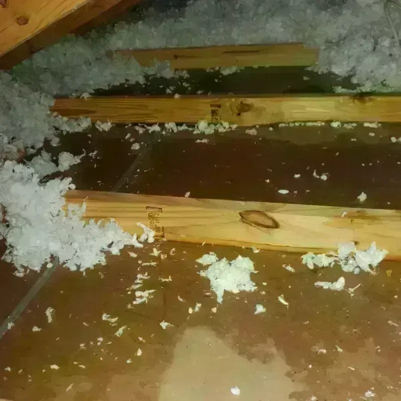 Attic Water Damage in Rayville, LA